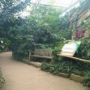 View in the Asian greenhouse, 2020-01-11