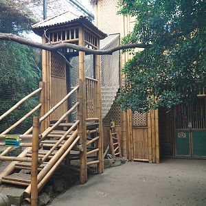 Asian greenhouse - Closed adventure route and access doors, 2020-01-11