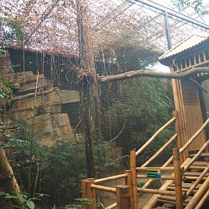 Former Sunda wrinkled hornbill aviary, 2020-01-11