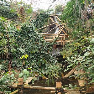 View in the Asian greenhouse, 2020-01-11