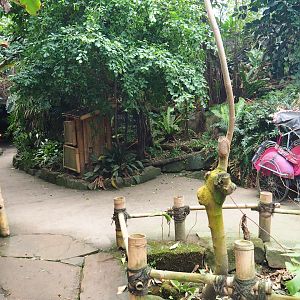 View in the Asian greenhouse, 2020-01-11