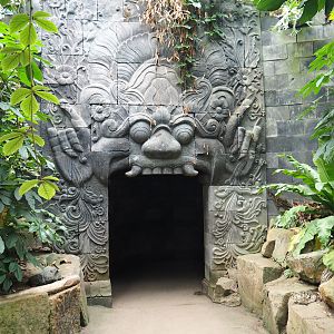 Asian greenhouse - Access to nocturnal area, 2020-01-11