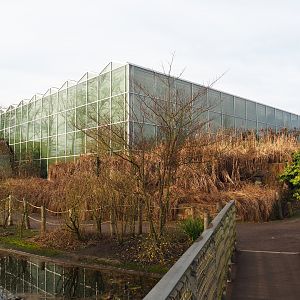 Asian greenhouse, 2020-01-11