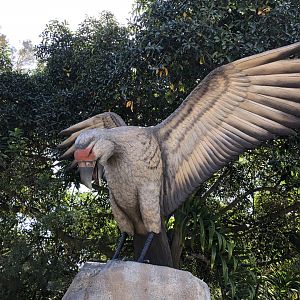 Merriam's teratorn statue