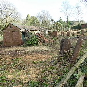 Former Maned Wolf enclosure, February 2020