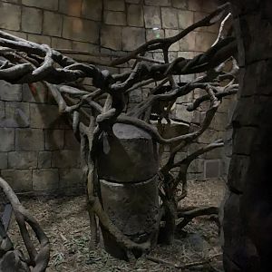 Porcupine/Ringtail exhibit - Nocturnal House