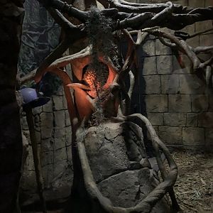 Porcupine/Ringtail exhibit - Nocturnal House