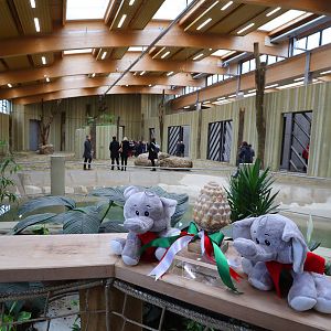 New elephant house opening!