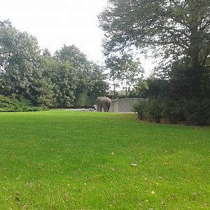 View at the male elephant enclosure