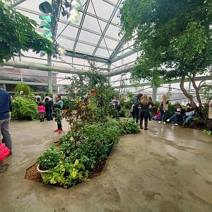 Feb. 2020 - The Ocean Journey - Butterfly Garden