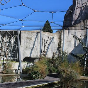 View into the African walk-through aviary