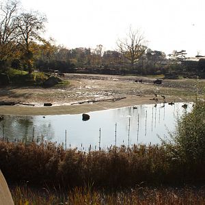 View onto the African savannah-enclosure