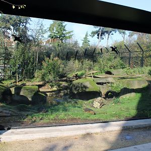 Viewing-window Wolverine-enclosure