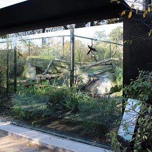 Enclosure European lynx