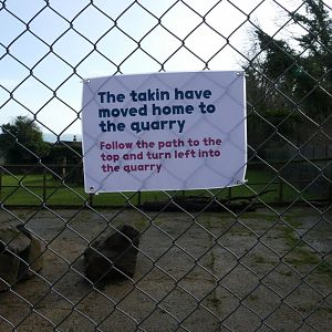 Mishmi Takin sign, 12 February 2020
