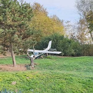 African wild dog enclosure - with crashed airplain