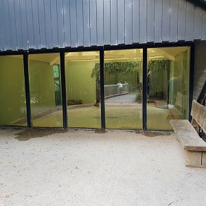 Pygmy hippo indoor enclosure