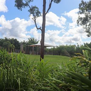 Future Sumatran Elephant Enclosure