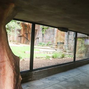 Tiger Temple Viewing Area