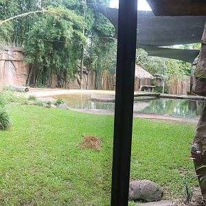 Tiger Enclosure