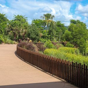 African Savannah Enclosure