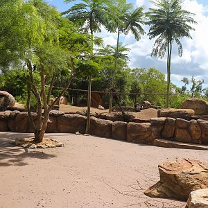 Meerkat Enclosure
