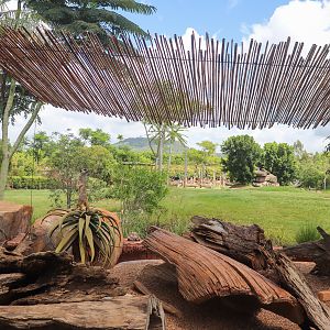 Meerkat Enclosure - View of African Savannah Enclosure