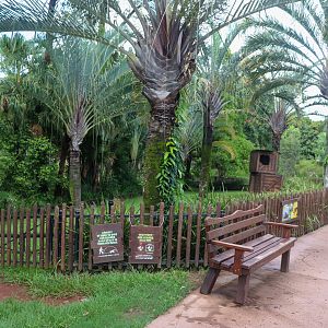 Aldabra Tortoise Enclosure