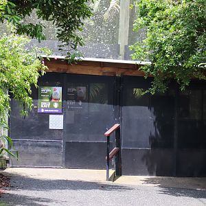 Rainforest Aviary Entry Area