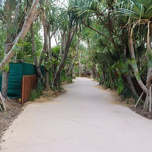 Renovated Crocodile Environmental Park (Opened 2020) - Pathway