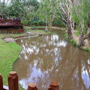 Renovated Crocodile Environmental Park (Opened 2020) - First Saltwater Crocodile Enclosure