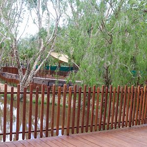 Renovated Crocodile Environmental Park (Opened 2020) - Boardwalk