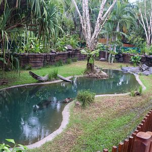 Renovated Crocodile Environmental Park (Opened 2020) - Second Saltwater Crocodile Enclosure