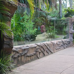Komodo Dragon Enclosure