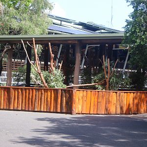 Koala Enclosure