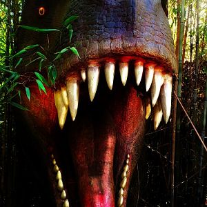 Roar from the Shadows