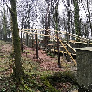 New development in the old bear enclosure!