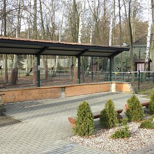 new vicunia exhibition