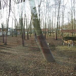 new vicunia exhibition