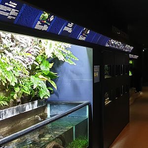 View into the Aquarium