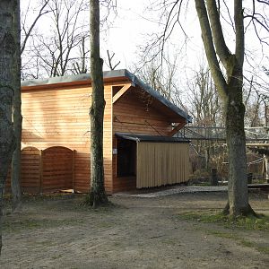 new red ruffed lemur house