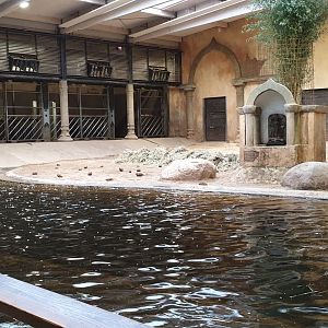 Indoor Elephant enclosure