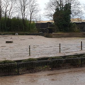 Another part of the Elephant outdoor-enclosure