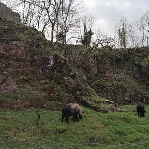 Takin Quarry, first view