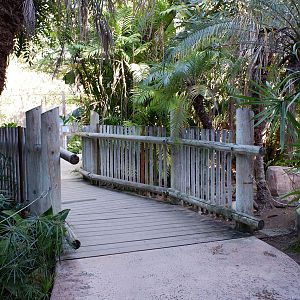 south america walk-in aviary