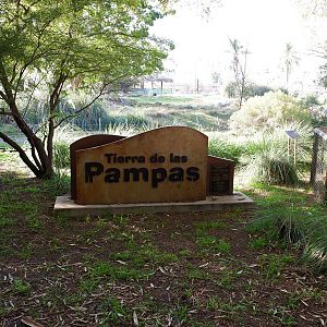 guanaco and rhea exhibit