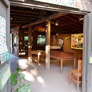 south american education hut