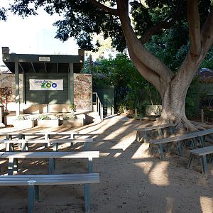 animal presentation area