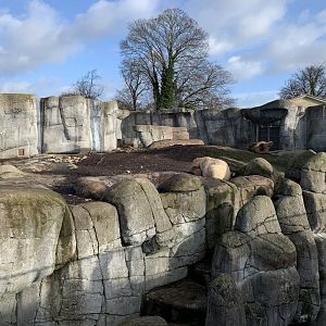 Polar bear exhibit - The Arctic Ring
