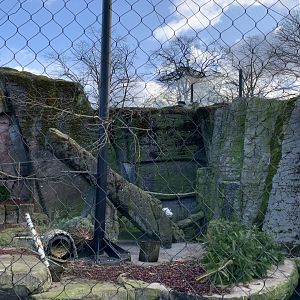 Snowy Owl and Arctic Fox exhibit